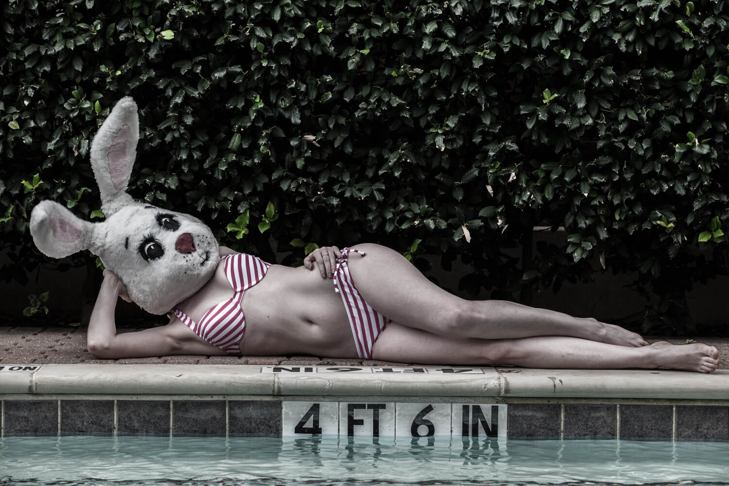 Peronsal Project - White Rabbit: American Bunny posing by her pool