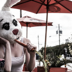 Personal project - White Rabbit: American Bunny taking time to eat